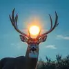 Marco Cuenca - @marco.cuenca53 - TikTok