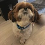 Marco Cunningham - @marco_cunningham5 - Instagram