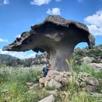 Marco Danese - @marco.danese.7 - Instagram