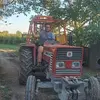 marcodanese651 - @marcodanese651 - TikTok