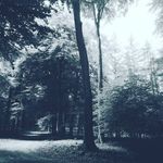 Marco Daniëls - @marcodaniels - Instagram