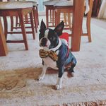 Marco Deckers - @marcodecker35 - Instagram