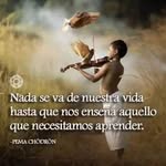 Marco Dubon - @marcodubon4 - Instagram