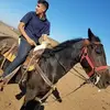 Marco Favela - @marcofavela5 - TikTok