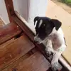 Marco Floriano - @marco.floriano - TikTok