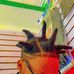 Marco Gabriel - Facebook