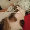 marcogilli1 - @marcogilli1 - TikTok