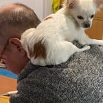 Marco Giovanni Battista Guarnotta - @guarnottam - Instagram