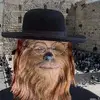 Marco Jasso - @marcojasso51 - TikTok