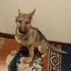 Marco Jauregui - @marco.jauregui62 - TikTok