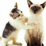 Marco Kwan - @marco.kwan.332 - Instagram