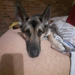 La Ylenia - @marco_lalli14 - Instagram