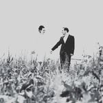 Marco Lang Weddingstories - @marcolang_weddingstories - Instagram