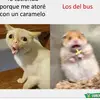 Marco Leos - @marcoleos1 - TikTok