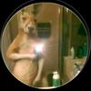 Marco Limas - @marco.limas3 - TikTok