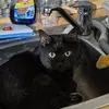 Marco Löwe - @marco.lwe - TikTok