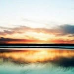 Marco Loza - @marcoloza1965 - Instagram