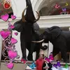 Marco Loza - @marco.loza68 - TikTok