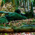 Marco Mackulin - @marco_mackulin - Instagram