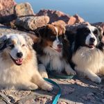 Sandy&Marco&Maddox - @bundi_banda - Instagram