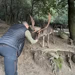Marco Manca - @_marco_manca - Instagram