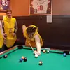 Marco Manna - @marco.manna1 - TikTok