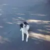 Marco Maya - @marco.maya49 - TikTok
