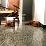 Marco&Maya - @marcoymaya - Instagram