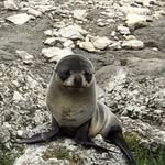 Marco Moore - @marcomoore512 - Instagram