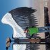 Marco Nevarez - Facebook