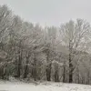 Marco Nicolas - @marco.nicolas20 - TikTok