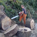 nocentinimarco - @_marco_noce_ - Instagram