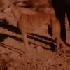 Noel Marco - @noel.marco0 - TikTok
