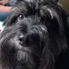 Marco - @marco.olea - TikTok