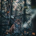 Marco Olson - @kenhahn438025 - Instagram