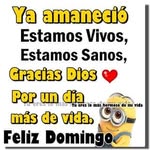 Marco Osuna - @marco.osuna.900 - Instagram