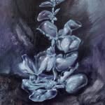 Marco Pace - @marcopacestudio - Instagram