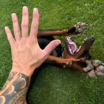 Marco Pace - @marco__pace - Instagram