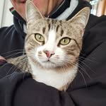 Marco Paoletti - @marco.paoletti.927 - Instagram