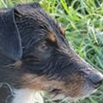Marco Paoletti - @marcovetsub60 - Instagram