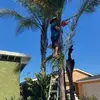 Marco Paramo - @marco.paramo - TikTok