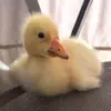 marcoparenti23 - @marcoparenti23 - TikTok
