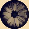 marco_patrick - @marco_patrick - TikTok