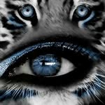 Marco Patterson - @marco.patterson - Instagram