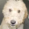 Marco Pearson - @marco.pearson - TikTok