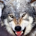 Marco Pedini - @marco.pedini.3 - Instagram