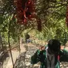 Marco Pedroza - @mrco.pedroza - TikTok
