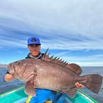 Marco A. Peralta - @marco_peralta16 - Instagram