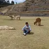 marcoperziespinos - @marcopercy2 - TikTok