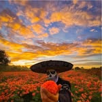 Marco Antonio Vazquez Armendariz - @marcoperry666 - Instagram